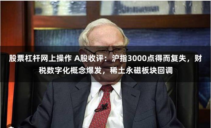 股票杠杆网上操作 A股收评：沪指3000点得而复失，财税数字化概念爆发，稀土永磁板块回调