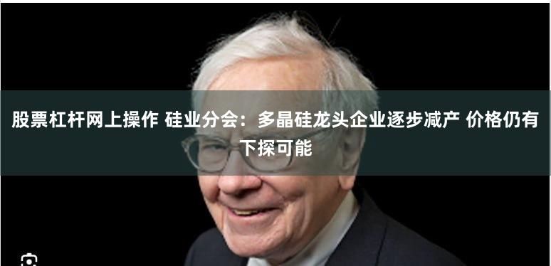 股票杠杆网上操作 硅业分会：多晶硅龙头企业逐步减产 价格仍有下探可能